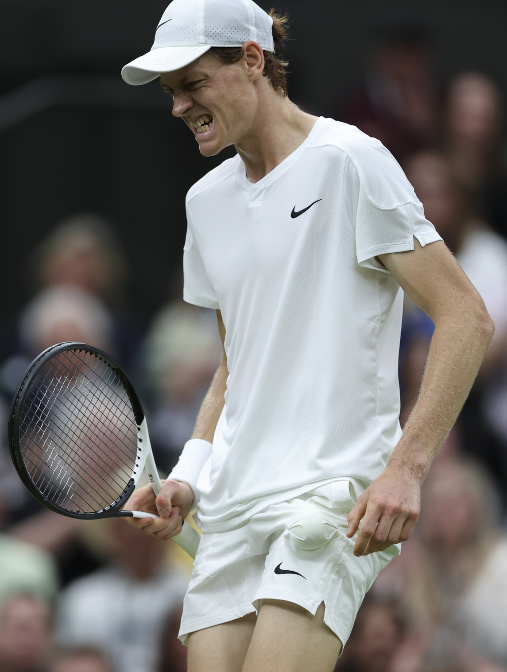 是顶尖羽毛 是顶尖羽毛